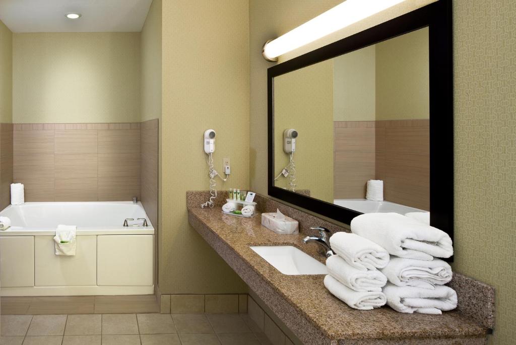 Holiday Inn Express Hotel & Suites Saginaw an IHG Hotel Main image 2